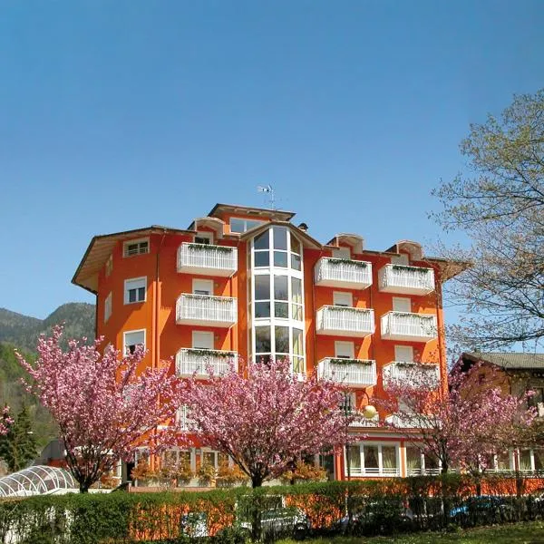 Nature Bio Hotel Elite，位于莱维科特尔梅的酒店