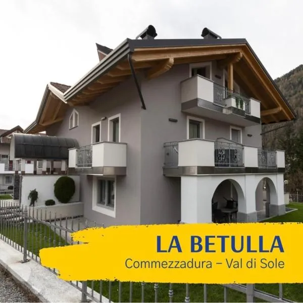 La Betulla Apartments，位于科姆梅扎杜拉的酒店