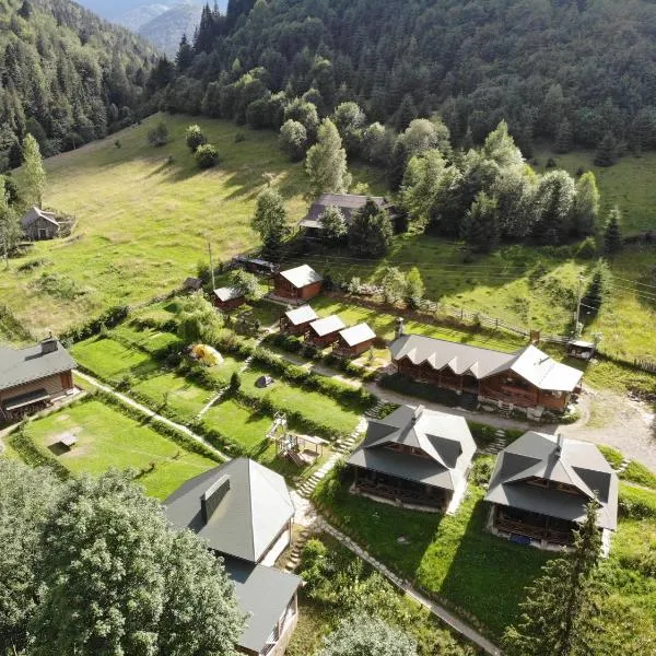 比莉斯隆露营地，位于Zelena的酒店