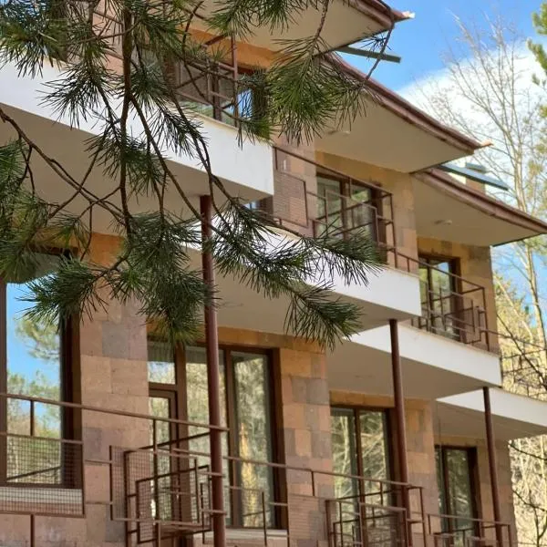Kompozitor Hotel Dilijan，位于迪利然的酒店