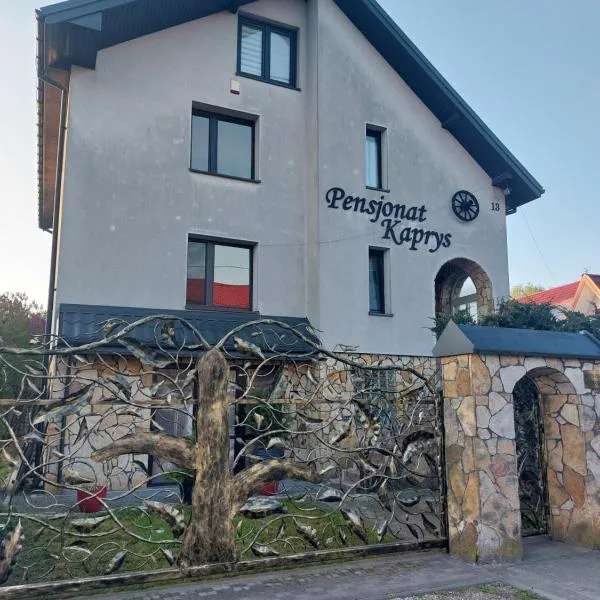 PENSJONAT KAPRYS，位于Jesionka的酒店