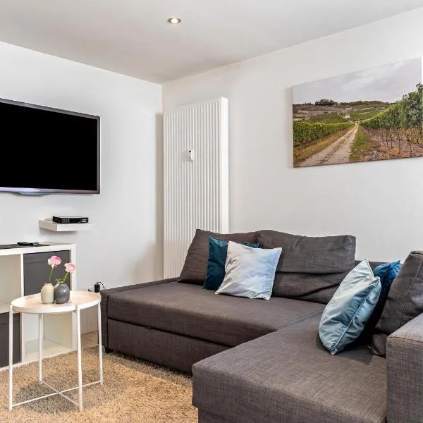 Ferienwohnung Zur Weinsteige，位于伊林根的酒店