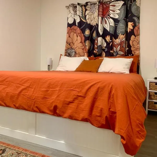 The Asbury House Guest Rentals，位于莫斯科的酒店
