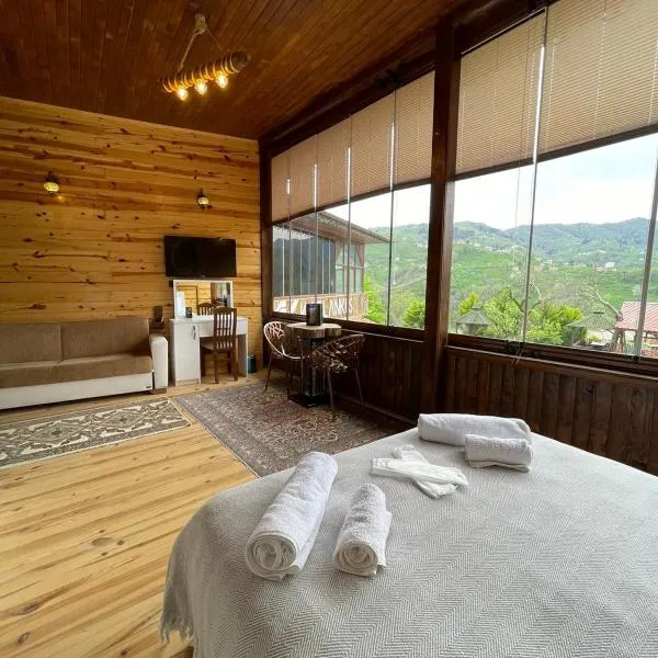 AHO 103 dağ manzaralı oda，位于特拉布宗的酒店