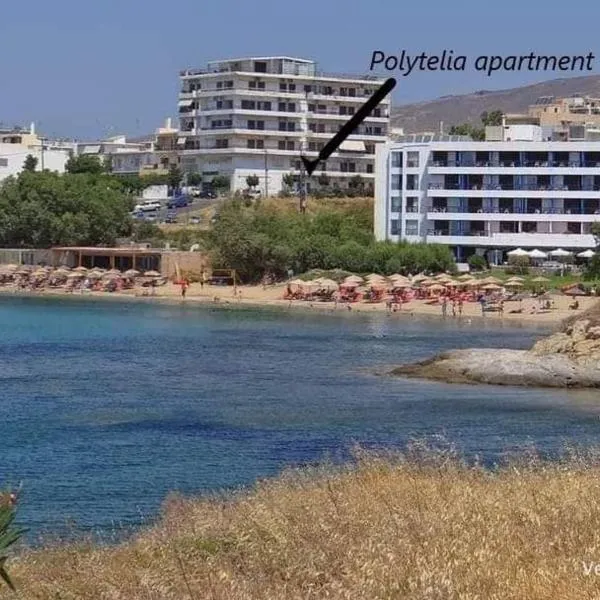 Polytelia Apartment Karystos，位于卡利斯托斯的酒店