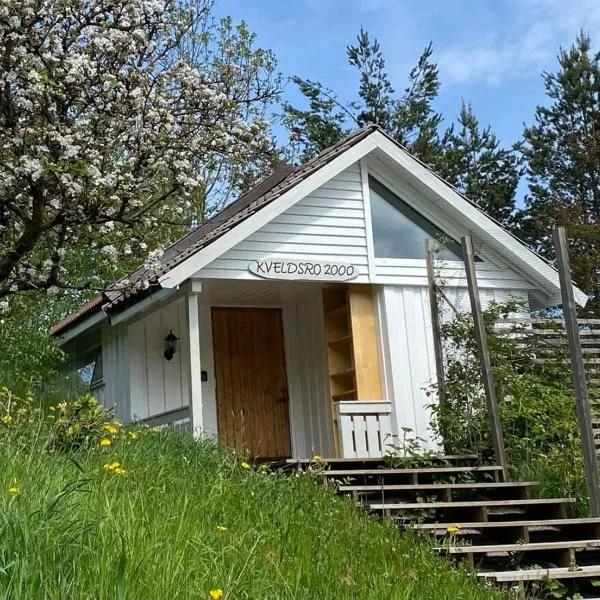 Kveldsro cabin in nice surroundings，位于Nodeland的酒店
