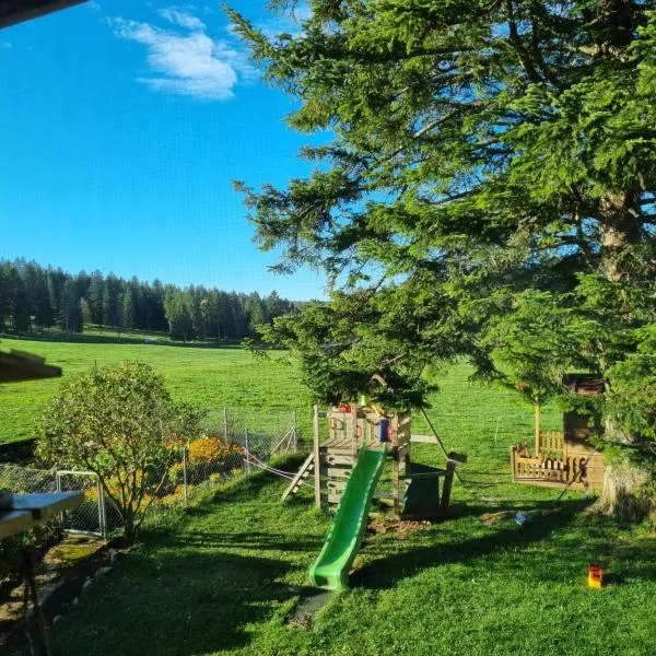 Studio à la ferme，位于La Brévine的酒店