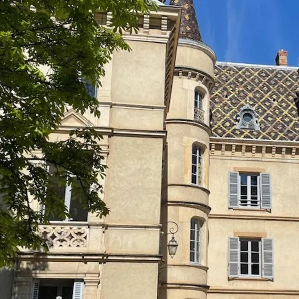 Grand appartement d'exception au Château Randin，位于伊居利的酒店