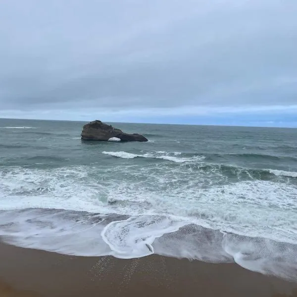 FANTASTIC OCEAN VIEW，位于比亚里茨的酒店