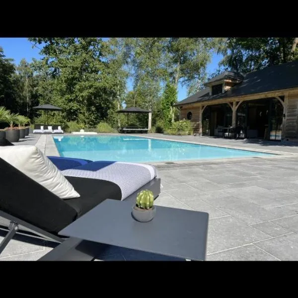 Magnifique chalet en bois avec piscine et jacuzzi，位于Court-Saint-Étienne的酒店