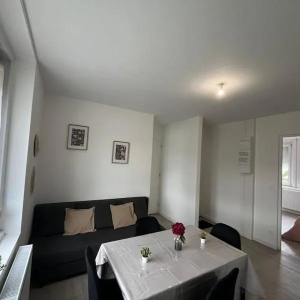 Le flowers cottage 30m² 4 personnes，位于Flers-lez-Lille的酒店