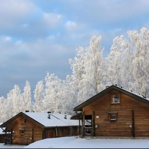 Koivula Cottages，位于Holiseva的酒店