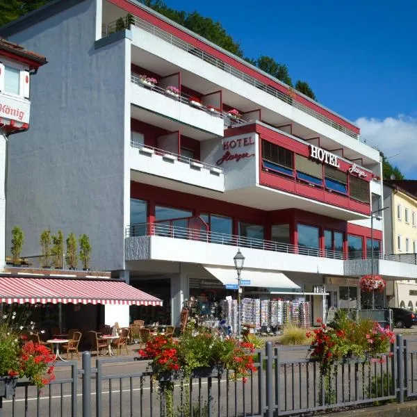 库帕克哈尔茨酒店，位于瓦森巴赫的酒店