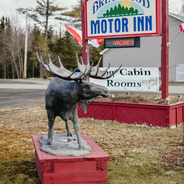 Briarwood motor inn，位于Lincoln的酒店