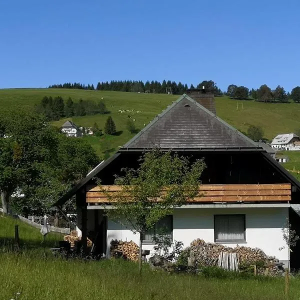 Schwarzwaldhaus Sonnenstraße, Oberried-Hofsgrund, Dreisamtal，位于奥贝里德的酒店