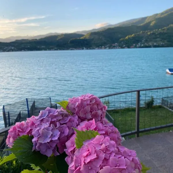 Villa Lake，位于科尼茨的酒店
