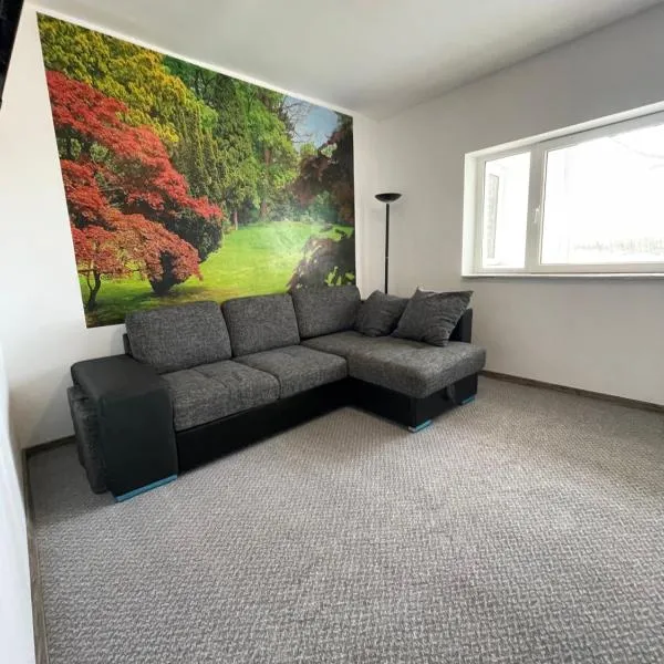 Muntele Semenic，位于塞梅尼克的酒店