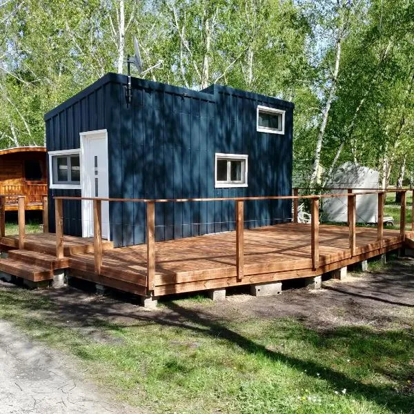 Tiny House，位于Naujac-sur-Mer的酒店