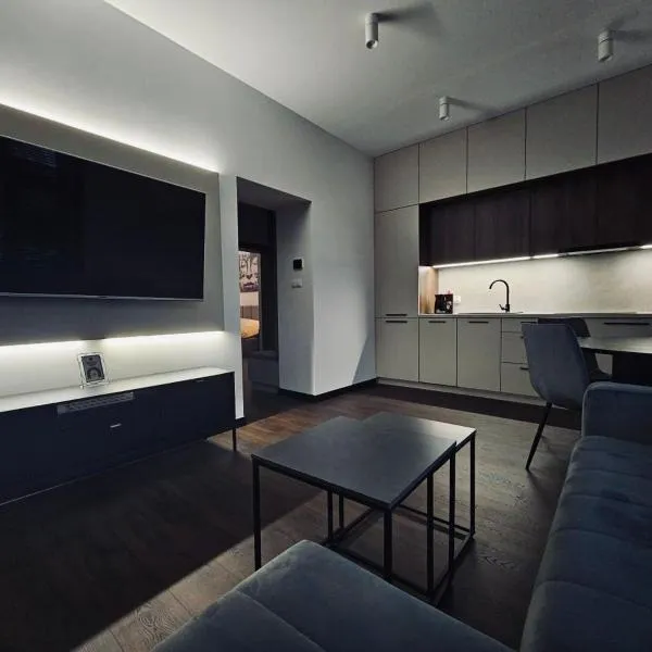 Apartament Prestige，位于新松奇的酒店