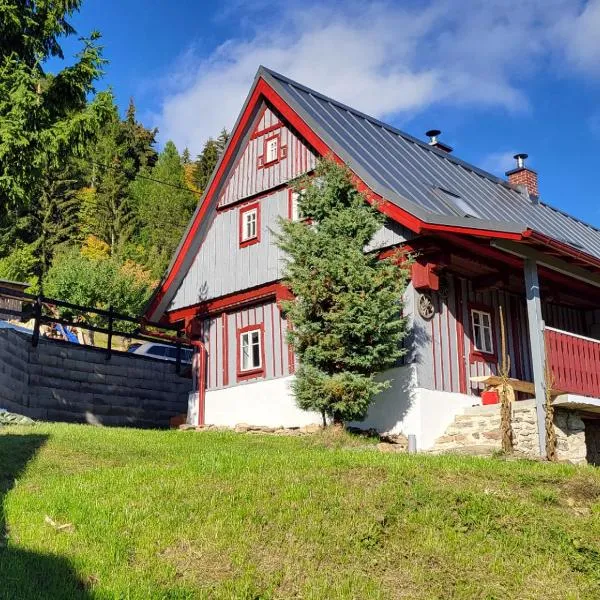 Roubenka Jizerka v horách Jizerských，位于坦瓦尔德的酒店