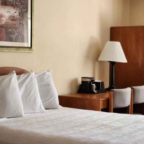 豪华旅馆&套房酒店，位于狄龙的酒店
