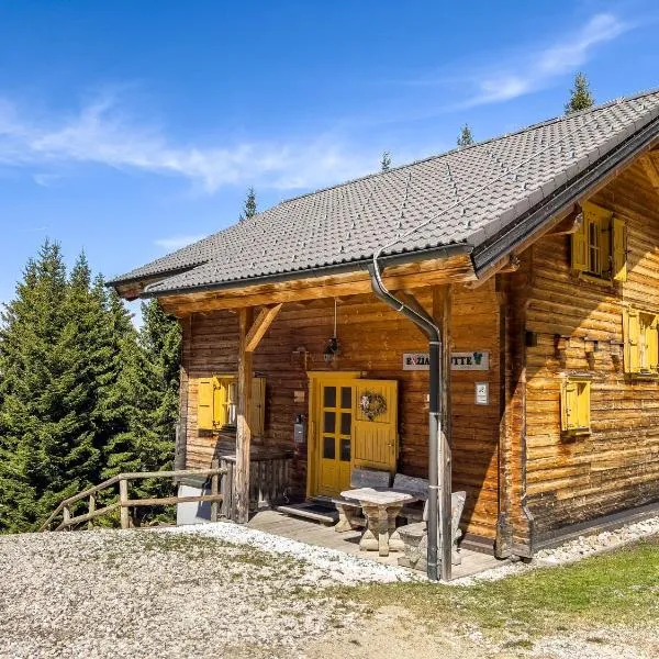 1A Chalet Enzianhuette - Wandern und Indoor Sauna，位于Elsenbrunn的酒店