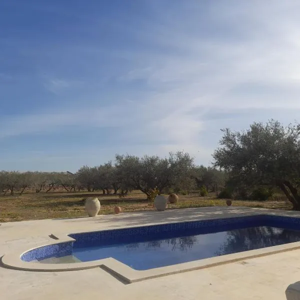 Villa Chaâbane，位于Djerba的酒店