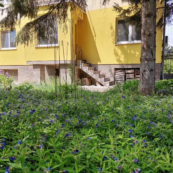 Стаи за гости "Дом Градина Вита" / Guest Rooms “House Vita Garden”，位于Gorna Malina的酒店