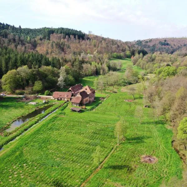 Maison d'hôtes de charme - Ancien moulin en pleine nature - La Paulusmühle，位于Drulingen的酒店