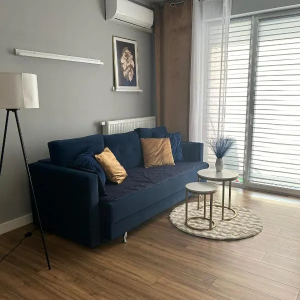 Apartament blisko stacji kolejowej，位于Kałuszyn的酒店