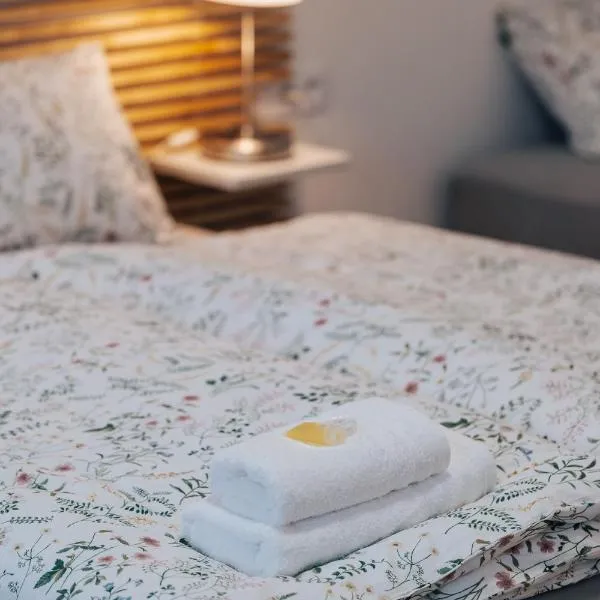 Apartmán U Zámku - Apartment by the Castle，位于布拉特纳的酒店