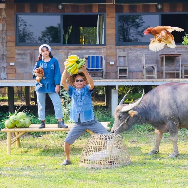 Hang Tueng farm stay Chiang Mai แฮงตึง ฟาร์มสเตย์ เชียงใหม่，位于เชียงใหม่的酒店