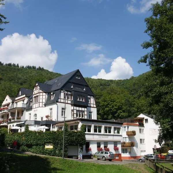 Bertricher Hof，位于Strotzbüsch的酒店