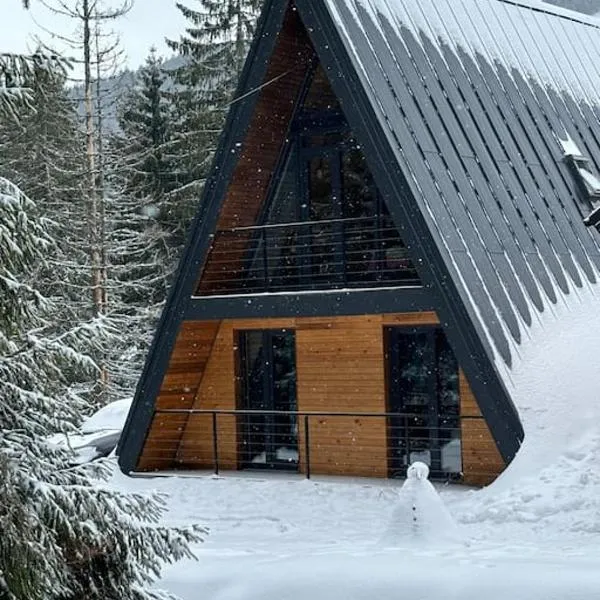 Tramonto Cabin，位于Vaşcău的酒店