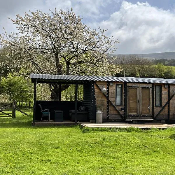 1 Bed converted Railway Wagon near Crickhowell，位于塔尔加斯的酒店