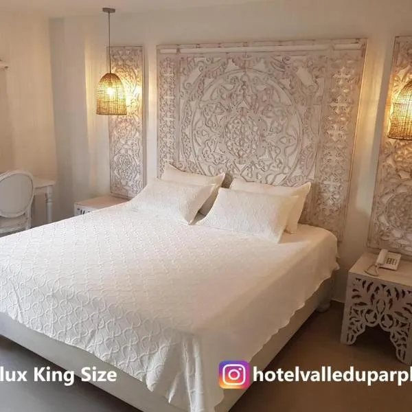 Hotel Valledupar Plaza，位于巴耶杜帕尔的酒店