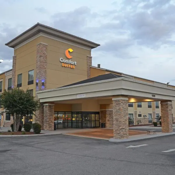 Comfort Suites Salem-Roanoke I-81，位于塞勒姆的酒店