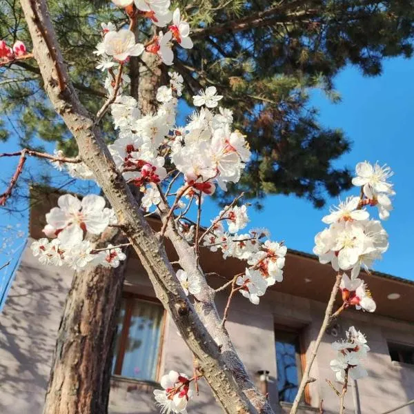 Mashtots B&B，位于瓦纳佐尔的酒店
