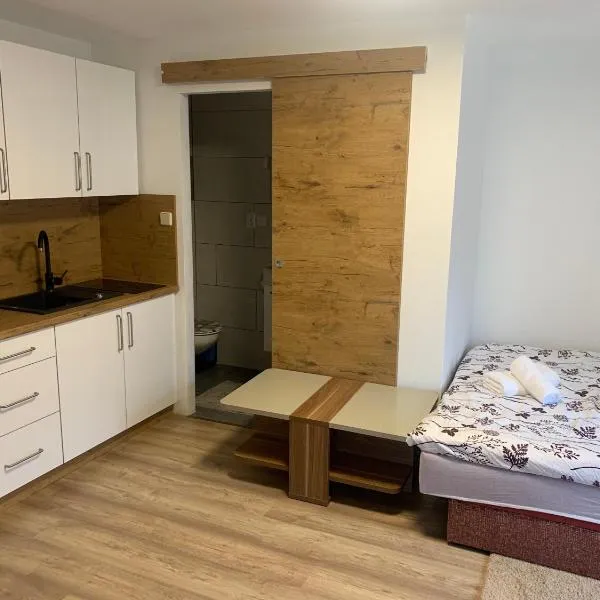Apartment Gajsek，位于Zavrč的酒店