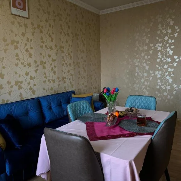 ENTIRE apartment near the subway，位于巴库的酒店