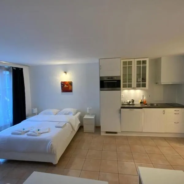 JOY06 Mango Spirit Suites，位于纳沙泰尔的酒店