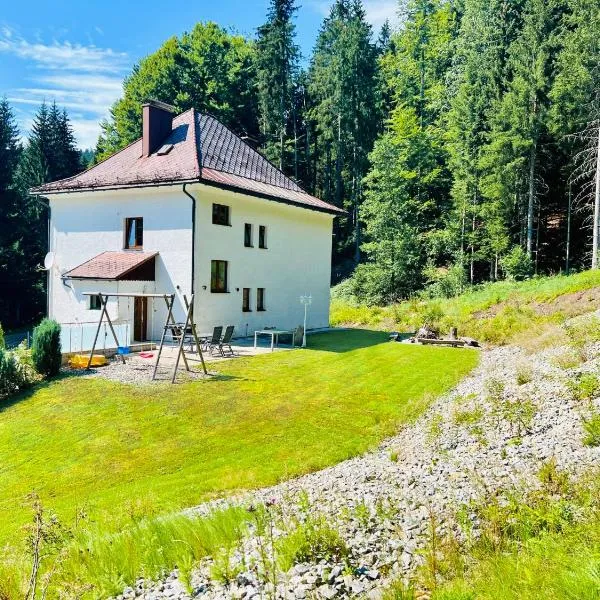 Ferienhaus Lebenskraft，位于Holzschlag的酒店