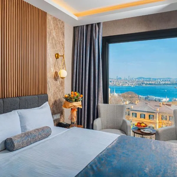 Ring Stone Hotels Bosphorus - Special Class，位于伊斯坦布尔的酒店