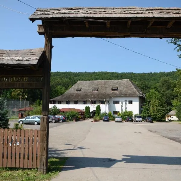 Pensiunea Valea Ursului，位于Bascov的酒店