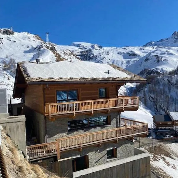 Skiing Resort In The Italian Alps, Chalet Cervinia，位于布勒伊-切尔维尼亚的酒店