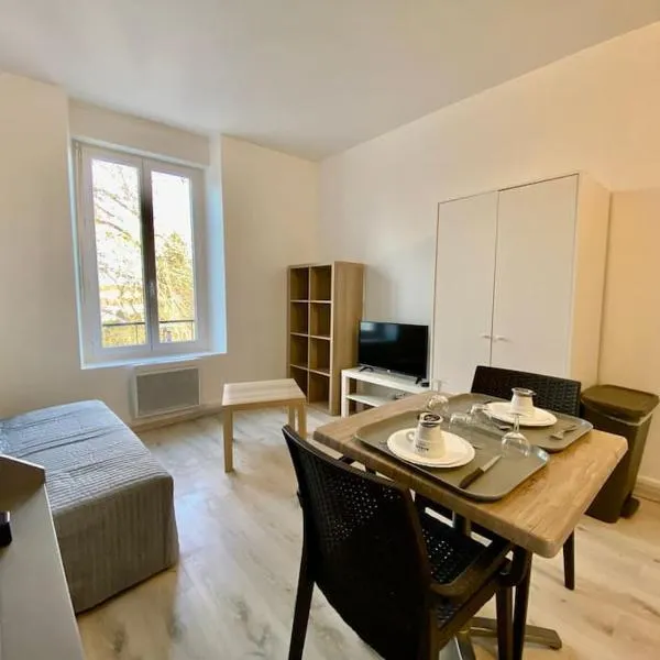 105 Studio Immeuble Perséverance，位于Conflans-en-Jarnisy的酒店