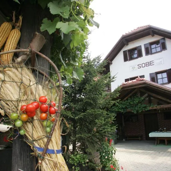 Farm Stay Frank Ozmec Wine and Glamping estate，位于Križevci pri Ljutomeru的酒店