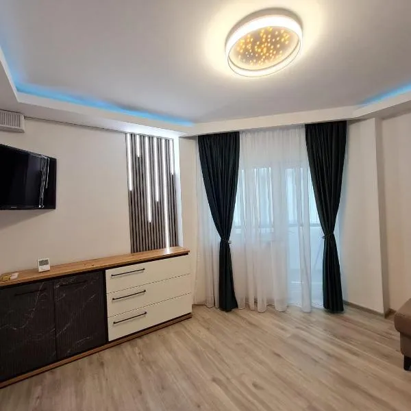 Romanescu One Apartament，位于Fîntînele的酒店