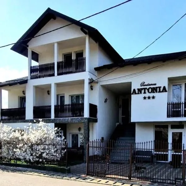 Pensiunea Antonia，位于Dealu Floreni的酒店