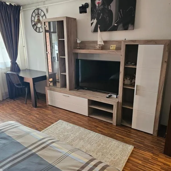 Garsoniera Dary Bloc G2str Mihai Bravu，位于Giuvărăşti的酒店